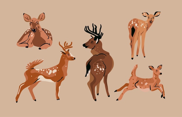 Ręcznie rysowane streszczenie wektor clipart ilustracja kolekcja zestaw z brązowym uroczym uroczym stylizowanym charakterem jelenia