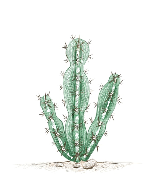 Ręcznie rysowane szkic kaktusa Cereus Mill