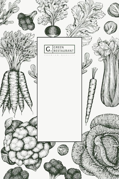 Ręcznie Rysowane Szkic Projektu Warzyw. Szablon Transparent świeżej żywności Ekologicznej. Retro Tło Warzywo. Grawerowane Ilustracje Botaniczne W Stylu.