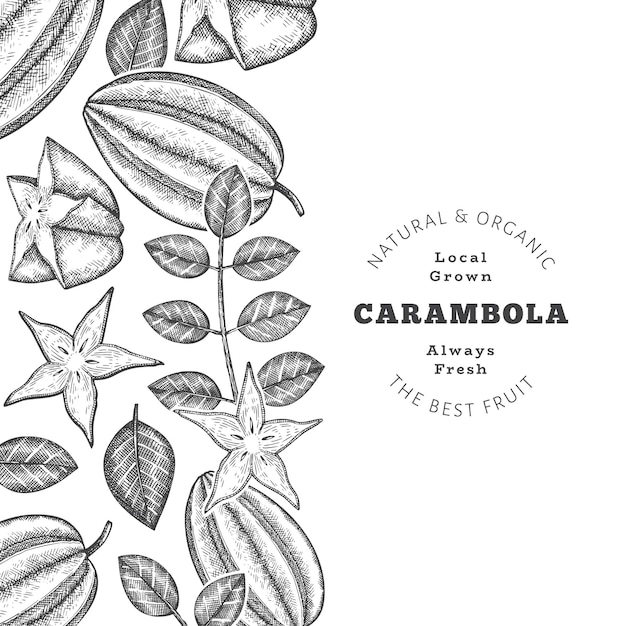 Plik wektorowy ręcznie rysowane szkic stylu carambola banner ilustracja wektorowa organicznych świeżych owoców szablon projektu retro owoców