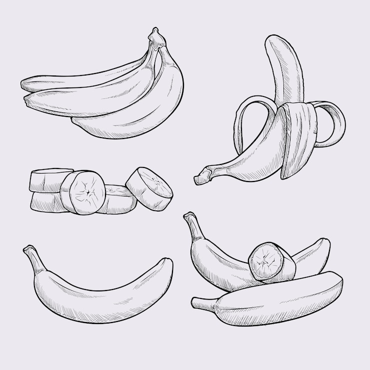 Wektor ręcznie rysowane szkic zestawu bananów, skórki banana i pokrojone kawałki. zarys owoców letnich