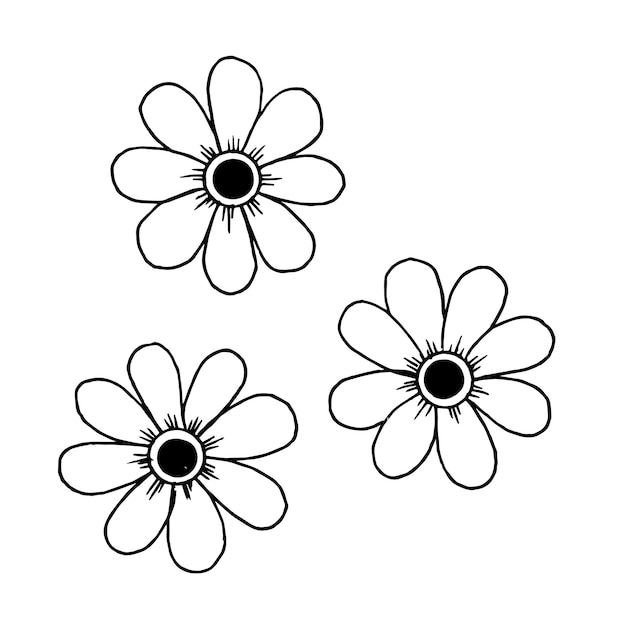 Ręcznie rysowane wektor stokrotka kwiaty