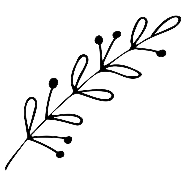 Ręcznie rysowane wektor szkic oddziału z liści i jagód na białym tle