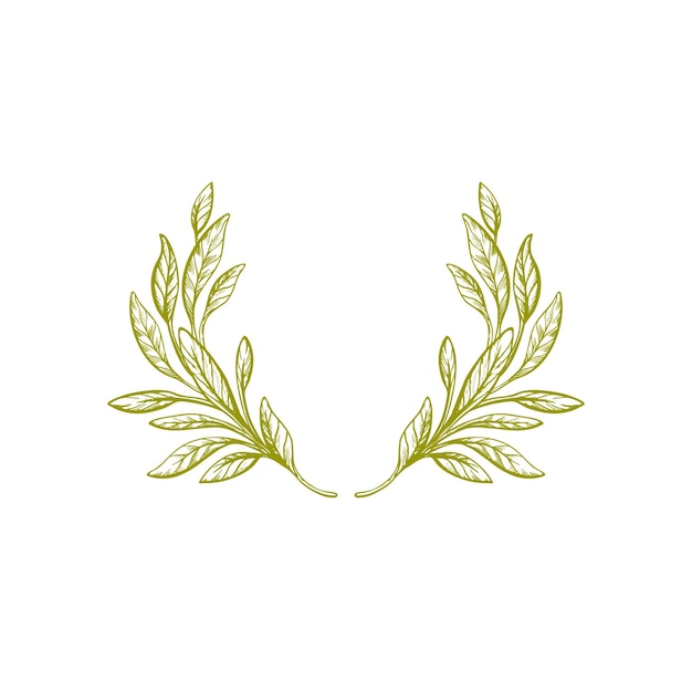 ręcznie rysowane wieniec z oliwek zielony liść vintage oddział na białym tle granica