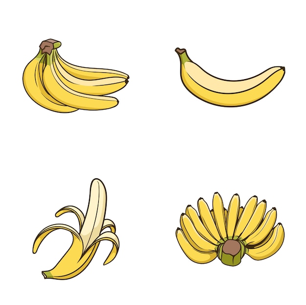 Ręcznie Rysowane Zestaw Bananów Pół Obrane Kiść Dojrzałych Owoców Wektor Białym Tle