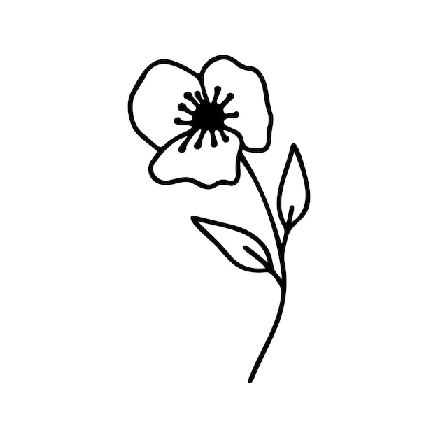 Ręcznie Rysowane Ziołowy Kwiatowy Clipart Jedna Linia Doodle Wektor