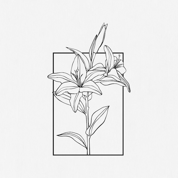 Plik wektorowy ręcznie rysowany wzór kwiatu lilii w stylu graficznym