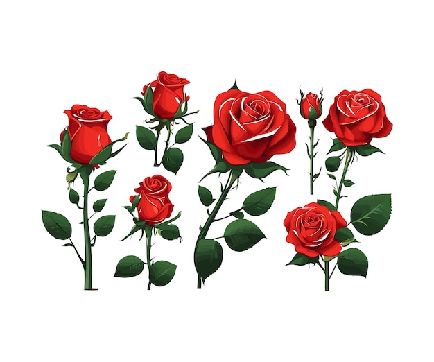 Plik wektorowy red rose sticker vector illustration editable file lub eps