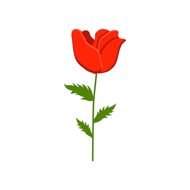 Plik wektorowy remembrance day flower element vector design