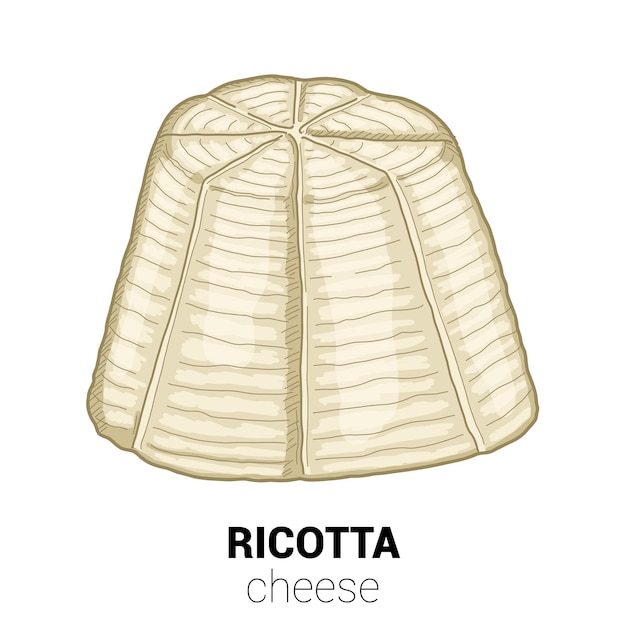 Ricotta Ser Owczy Kolorowa Ilustracja Wektorowa