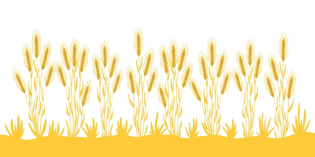 Roczne tło ryegrass2