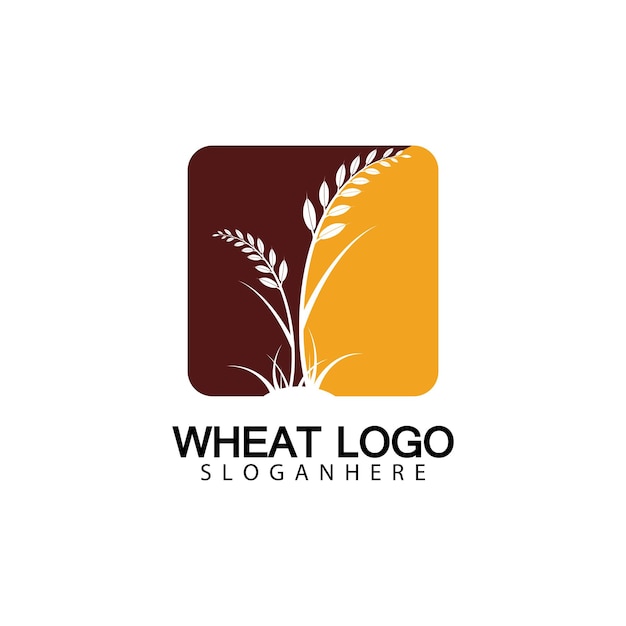 Rolnictwo Pszenica Logo Szablon Wektor Ikona Projektu