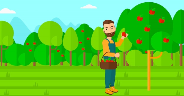 Plik wektorowy rolnik zbierający jabłka.