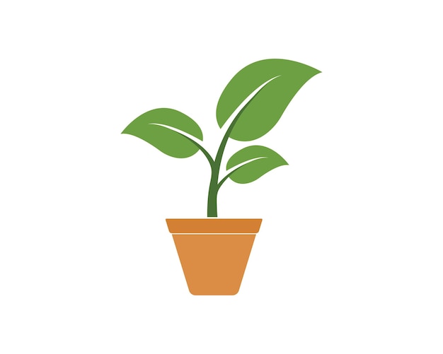 Roślina W Doniczce Ikona Logo Wektor Ilustracja Szablon Projektu
