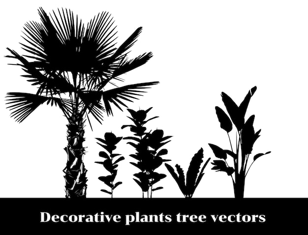 Plik wektorowy rośliny dekoracyjne drzewo