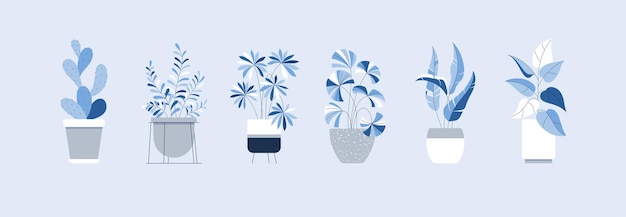 Plik wektorowy rośliny domowe w ceramicznych doniczkach na stojaku izolowany szablon kaktusa zamioculcas ficus w płaskim stylu z zarysem wystroju wnętrz przytulność ilustracja wektora botanicznego z liśćmi gałęzi