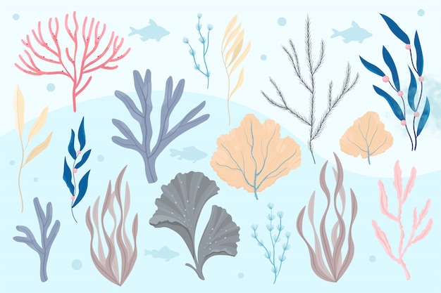 Rośliny morskie i wodne algi morskie. Wodorosty zestaw ilustracji wektorowych.