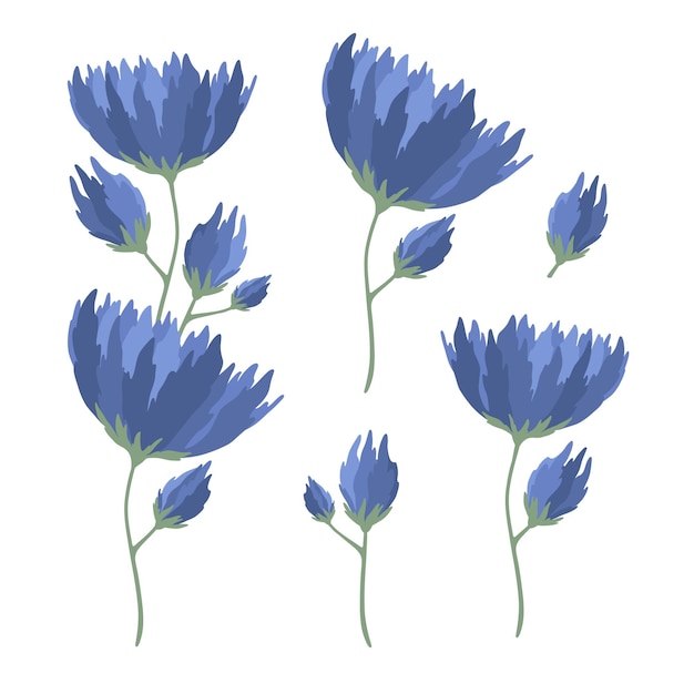 Plik wektorowy rośliny roślinne z niebieskimi kwiatami