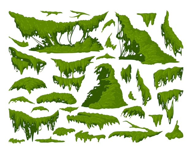 Rośliny Zielone Mchy Kreskówka Mech Dżungli Wiszące I Pełzające Porosty I Mech Płaski Zestaw Ilustracji Wektorowych Kolekcja Flory Tropikalnego Lasu Deszczowego