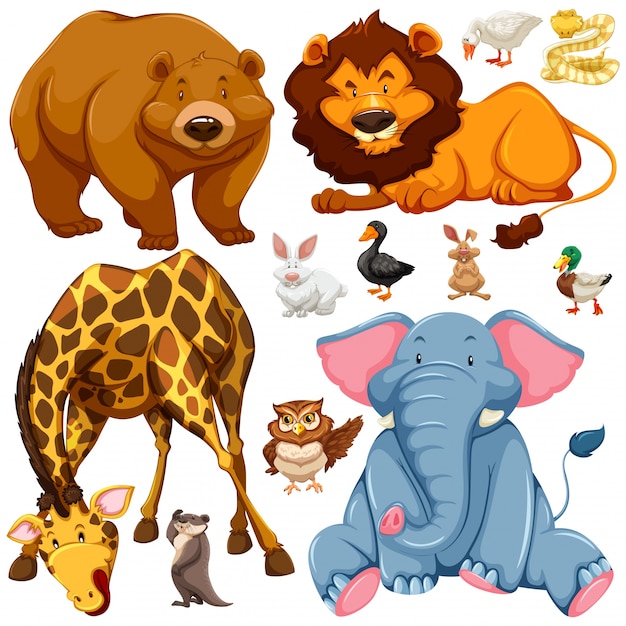 Plik wektorowy różne typy ilustracji zwierząt