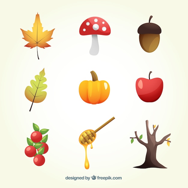 Różnorodność Jesiennych Elementów Przyrodniczych