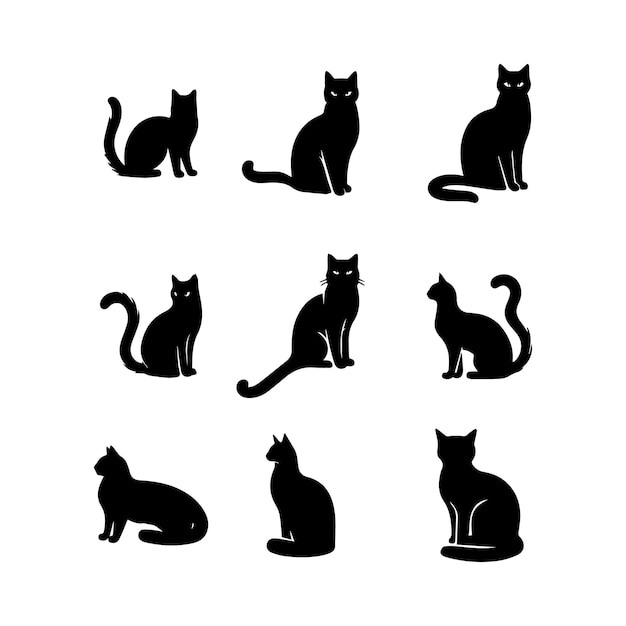 Różnorodność Sylwetek Czarnych Kotów Na Białych