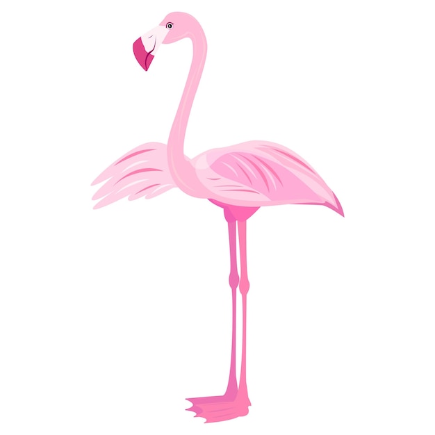 różowa dziewczyna flaming tropikalny ptak rajski ptak ilustracji wektorowych z flamingami