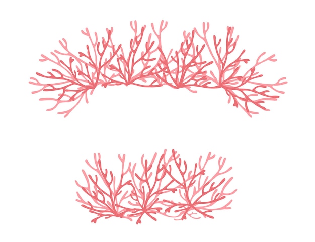 Różowe Kolorowe Wodorosty Morskie Podwodne Rośliny Oceaniczne Koralowce Morskie Elementy Płaskie Wektor Ilustracja Na Białym Tle