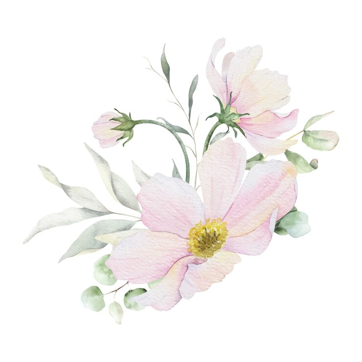 Wektor różowe kwiaty cosmea eukaliptus zieleni kwiatów wiązki kwiatów w stylu pastelowym bukiety ślubne izolowane ręcznie narysowane akwarele ilustracje do ślubnych kart projektowych plakatów pozdrowienia zapisz datę