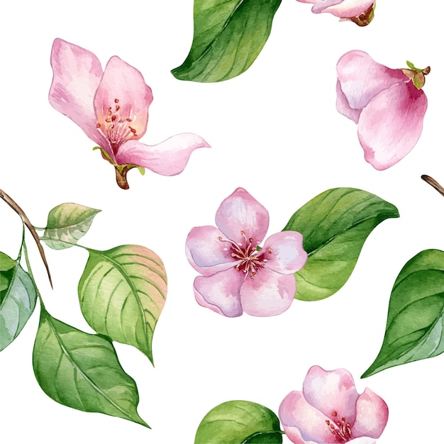 Plik wektorowy różowe kwiaty drzewa jabłkowego i liście bezszwowy wzór akwarelowy izolowany na białej gałęzi drzewa owocowego ręcznie narysowany element projektowy do pakowania tło tapeta tekstylna