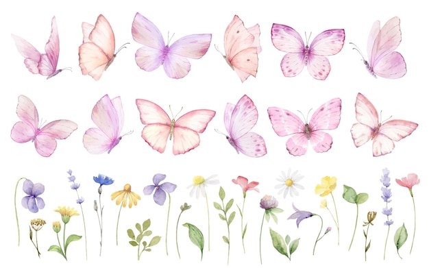 Różowe Motyle Zestaw Klipartów Wektorowych Dzikie Kwiaty I Zioła Ręcznie Namalowana Ilustracja Akwarelowa