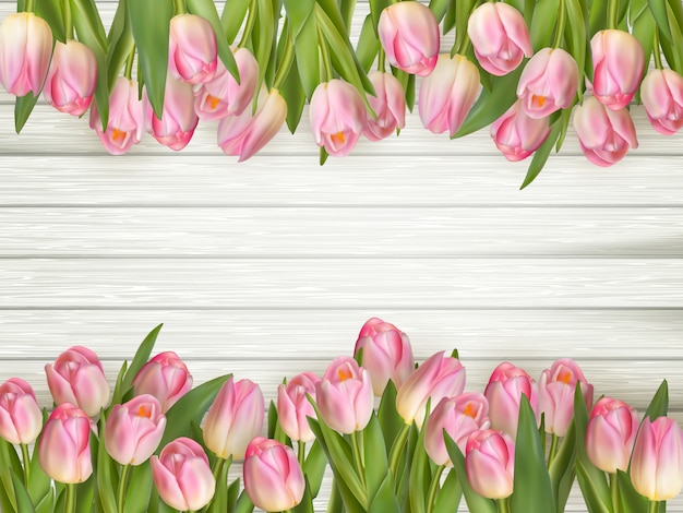 Plik wektorowy różowe tulipany granicy.