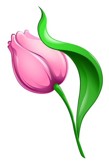 Różowy kreskówka Tulip z zielonym liściem na białym tle