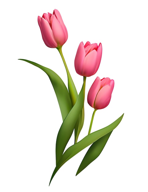 Plik wektorowy różowy realistyczny tulipan kwiaty bukiet wektor ilustracja