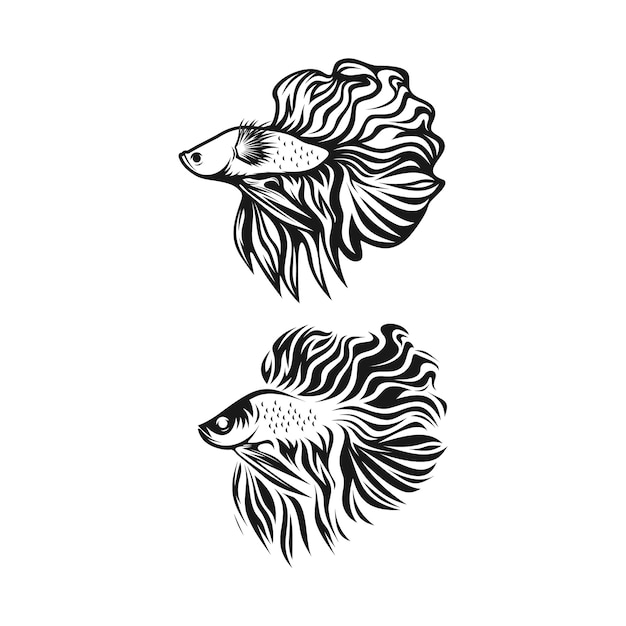 Ryba Betta Clipart