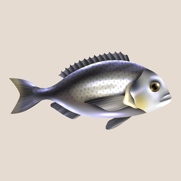 Plik wektorowy ryba z żółtym okiem i białą twarzą