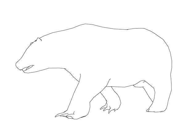 Plik wektorowy rysowanie linii niedźwiedzia polarnego