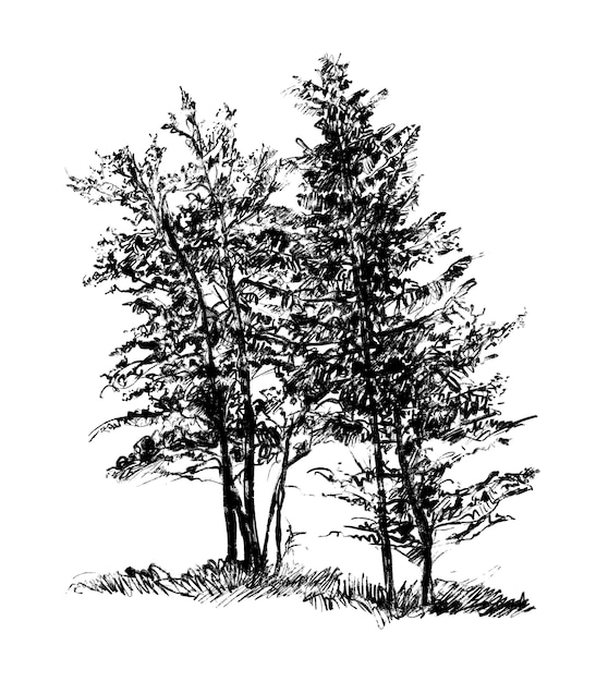 Plik wektorowy rysowanie ręcznie rysowanych drzew
