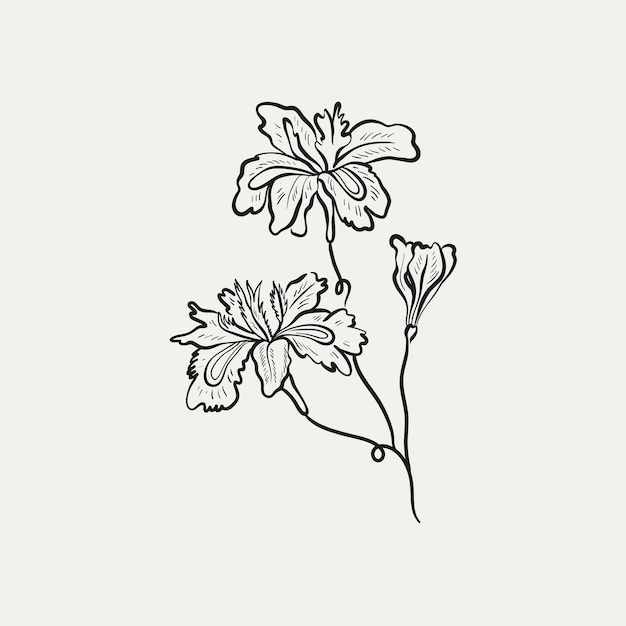 Rysunek Botaniczny Minimalna Roślina Logo Botaniczny Szkic Graficzny Rysunek łąka Zieleń