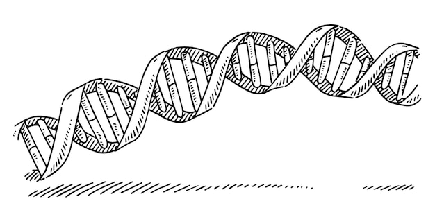 rysunek DNA z napisem "dna"