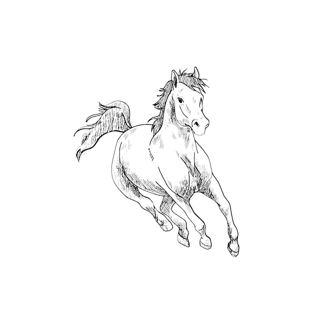 Rysunek konia
