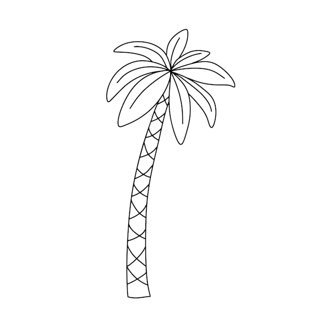 Rysunek Linii Palmy ładna Ilustracja Wektorowa Na Białym Tle