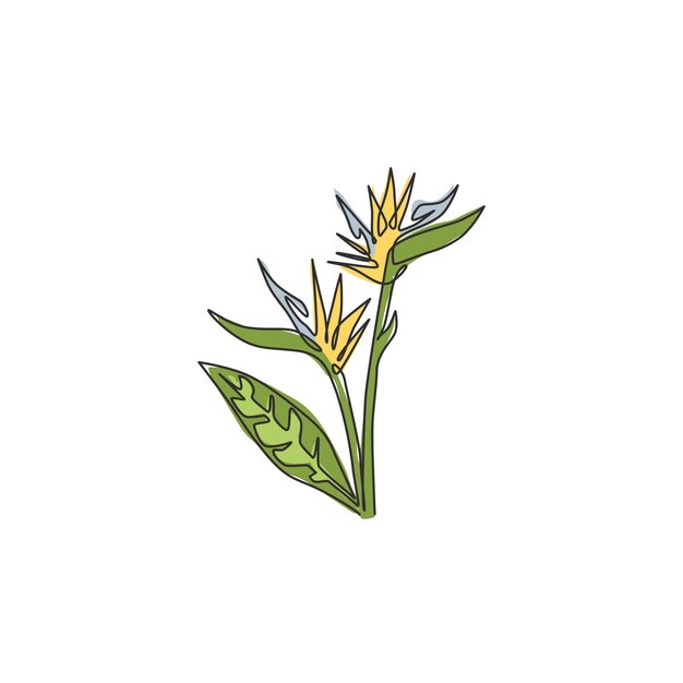 Plik wektorowy rysunek pojedynczej linii piękno świeże strelitzia dla ogrodu logo dekoracyjny ptak rajski kwiat