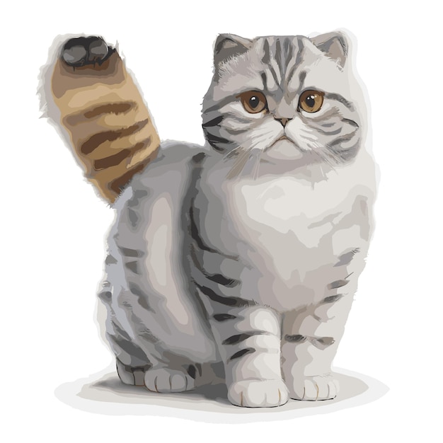 Plik wektorowy rysunek scottish fold cat z edytowalnymi funkcjami ilustracja wektorowa