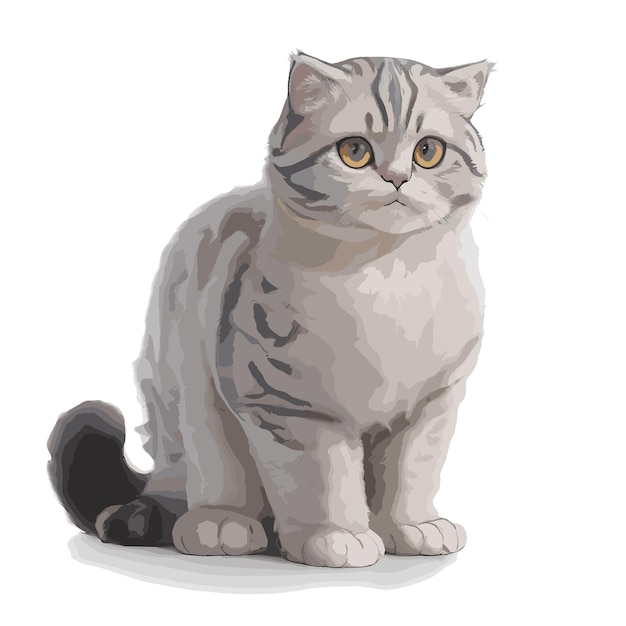 Plik wektorowy rysunek scottish fold cat z edytowalnymi funkcjami ilustracja wektorowa