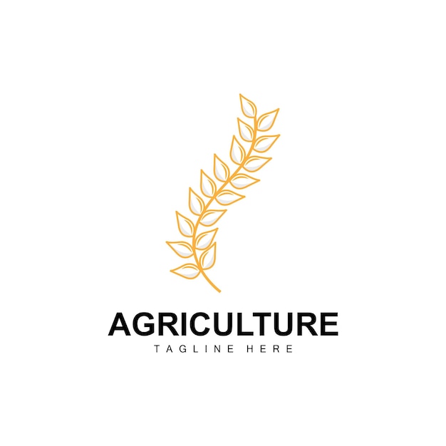 Ryż Logo Rolnictwo Projekt Wektor Pszenica Ryż Ikona Szablon Ilustracja