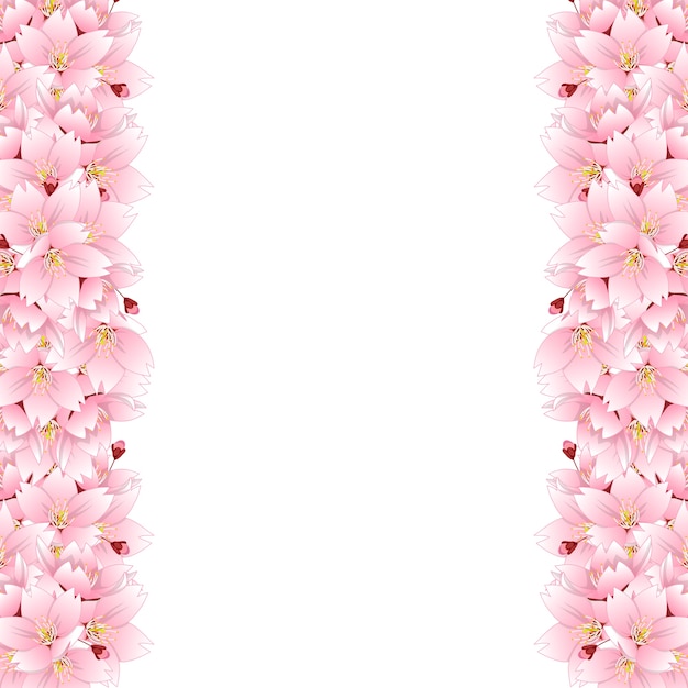 Sakura Cherry Blossom Flower Border