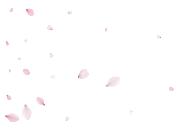 Sakura płatki wakacje tło wektor wiśnia