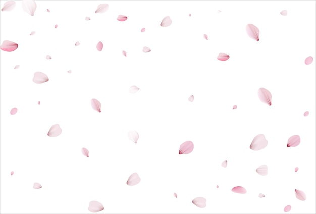 Sakura płatki wiśniowe płatki tło wektor