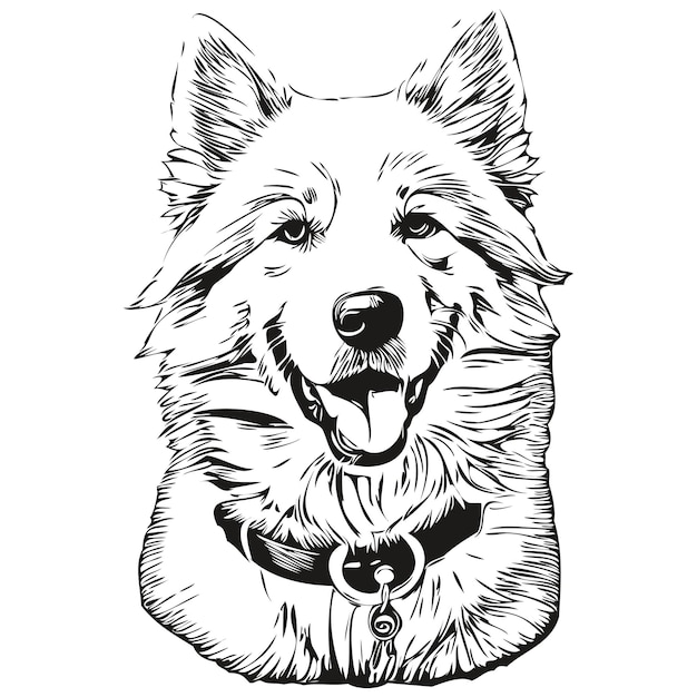Samoyed Pies Linii Ilustracja Czarno-biały Tusz Szkic Twarzy Portret W Wektorze Realistycznej Rasy Zwierzaka